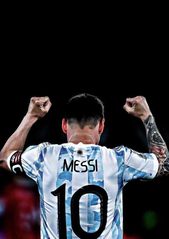 自己的职业 自己的职业